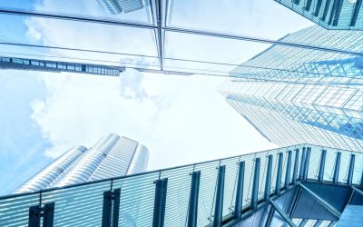Quand le Slow Business Devient la Clé du Succès