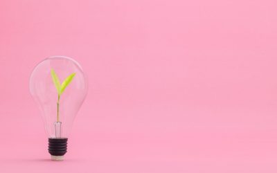 Le pouvoir des algorithmes : comment vos habitudes d&rsquo;achat façonnent le marketing